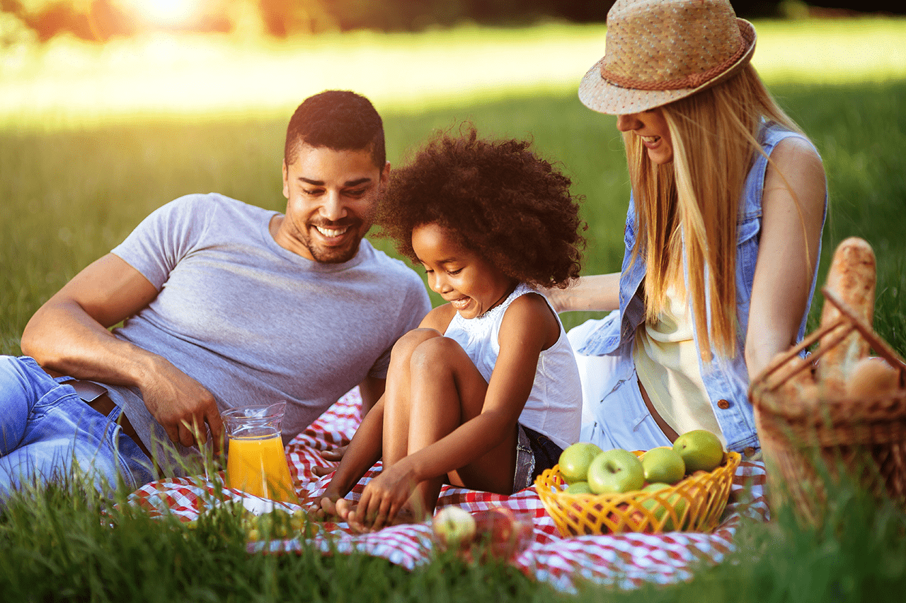 post blog artigo como montar um piquenique