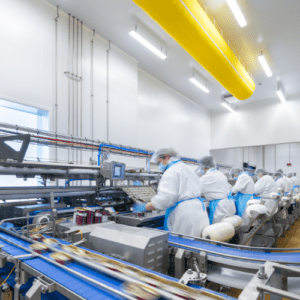 Sans-titre-22-300x300